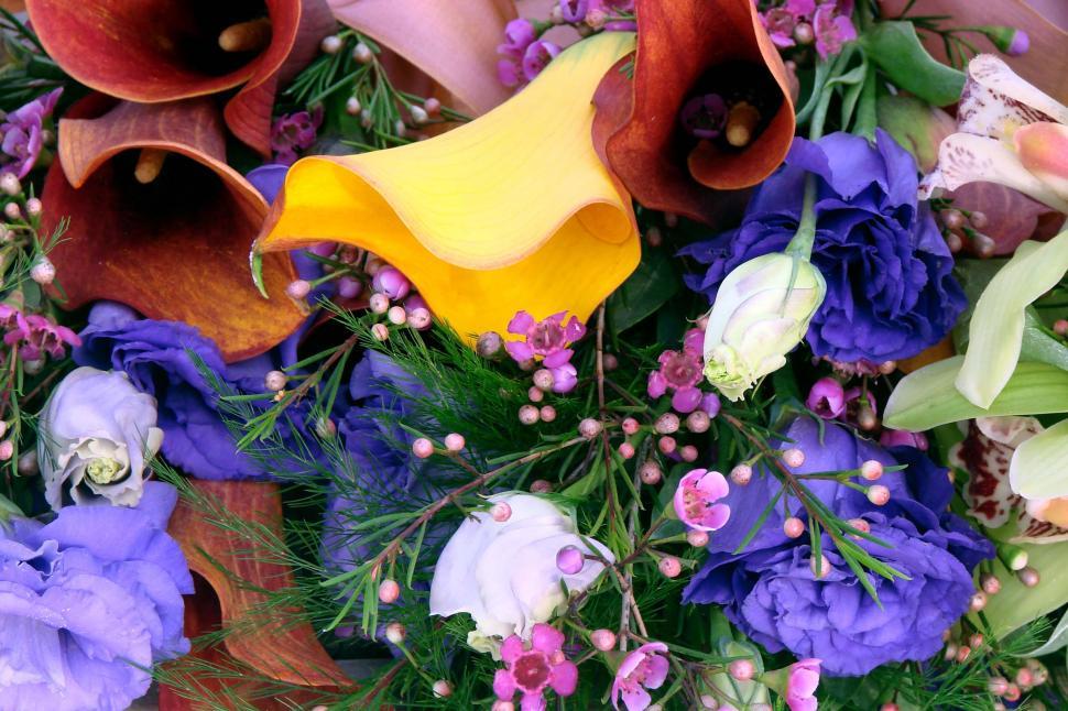Free Image of Cluster of Flowers on Table 