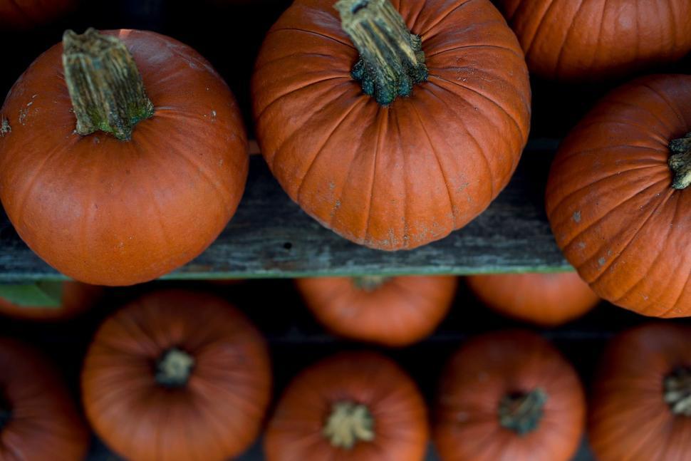 Free Image of Shelf Filled With Lots of Orange Pumpkins 