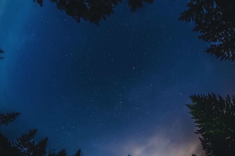Free Image of Starry Night Sky With Trees 