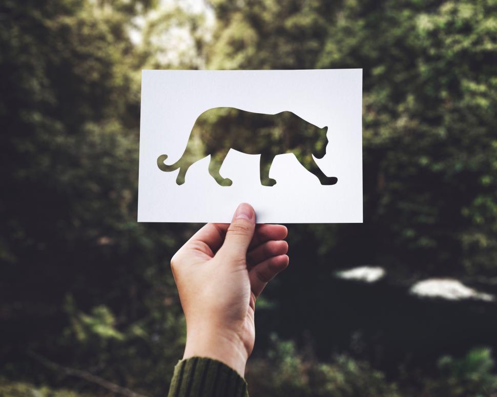 Free Image of Person Holding Up a Card With a Picture of a Cat 