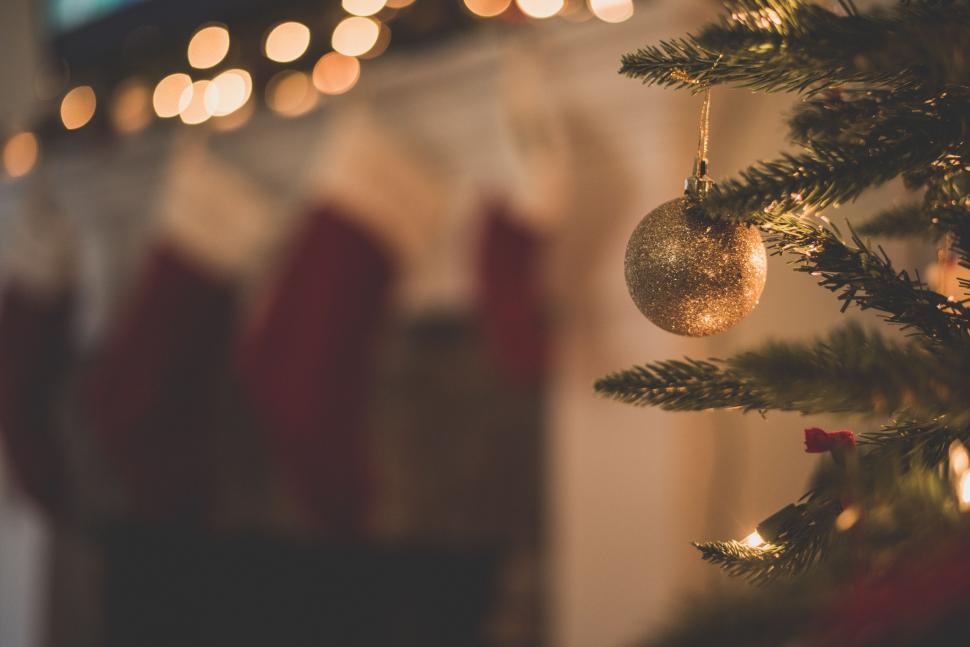 Free Image of Close Up of a Christmas Tree With Lights 