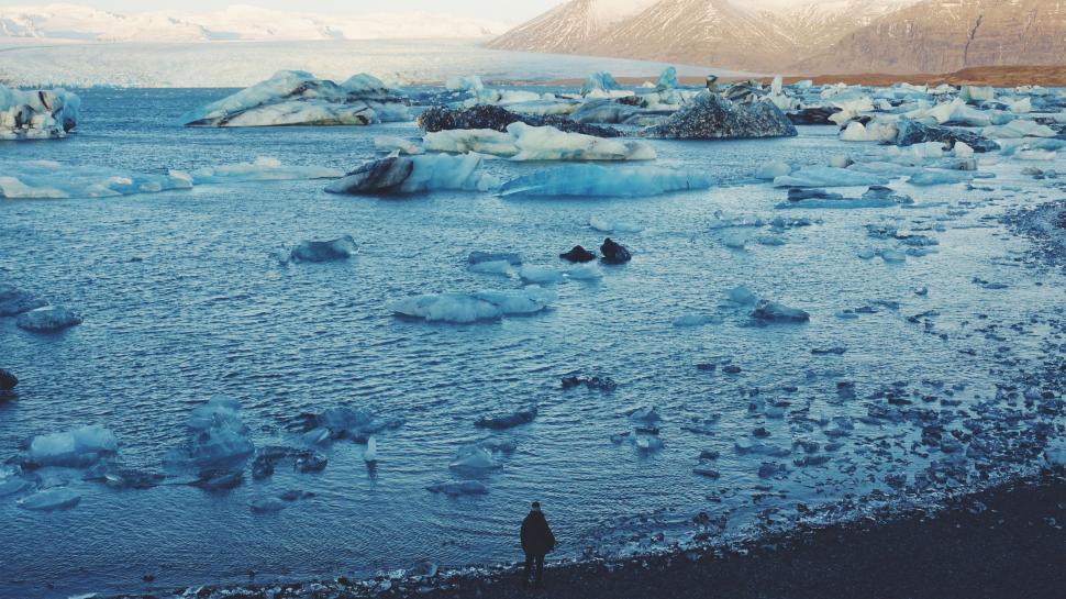Free Image of Body of Water Surrounded by Icebergs 