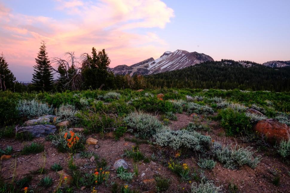 Free Image of Field With Mountain in Background 