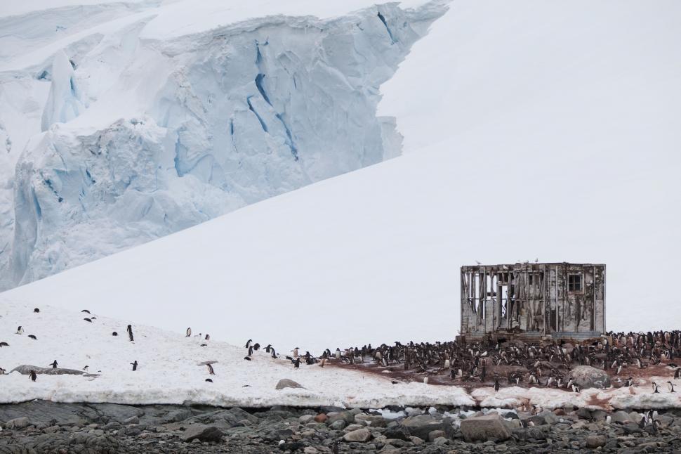 Free Image of Large Group of People Standing on Top of a Snow-Covered Mountain 