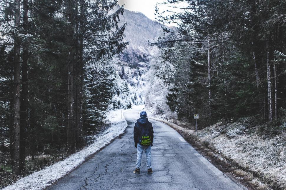 Free Image of Man Walking Down a Road in the Forest 