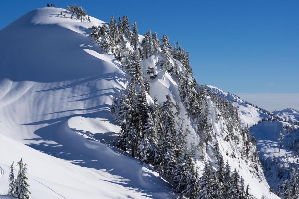 Free Image of Snow Covered Mountain With Trees 