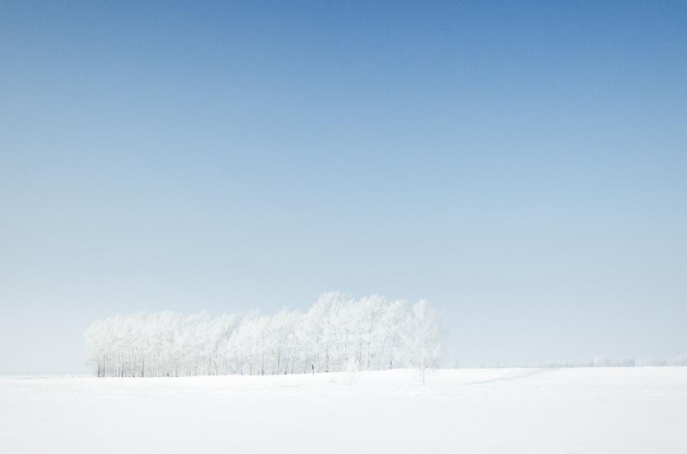 Free Image of Snowboarder Performing Trick in Mid-Air 