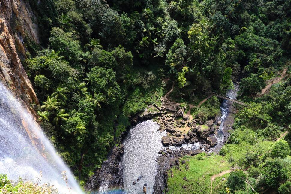 Free Image of Majestic Waterfall in Lush Green Forest 