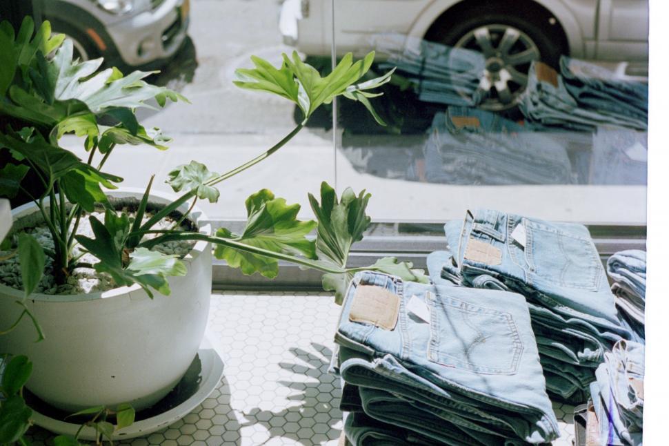 Free Image of Potted Plant on Table 