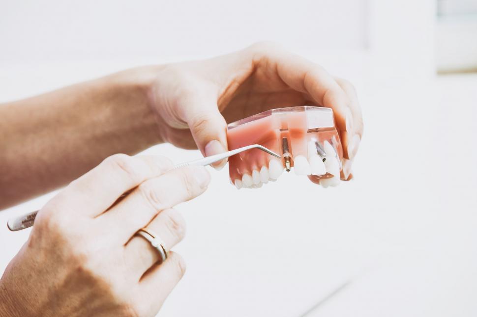 Free Image of Person Holding Toothbrush in Hand 