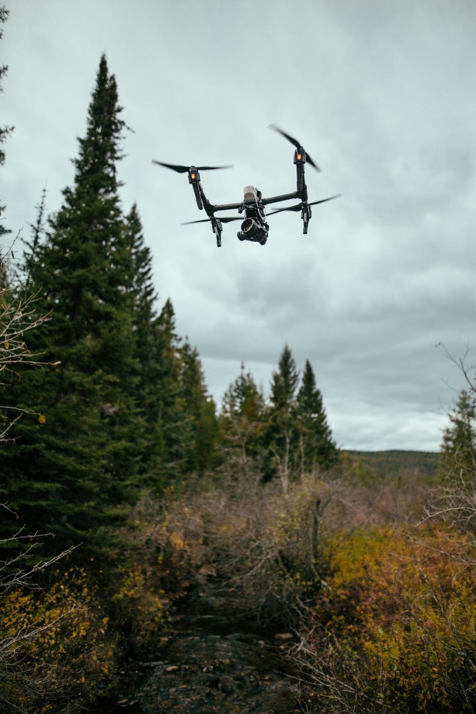 Free Image of Small Plane Flying Over Dense Forest 