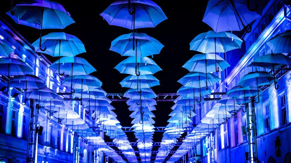 Free Image of Group of People Walking Down a Street Under Umbrellas 