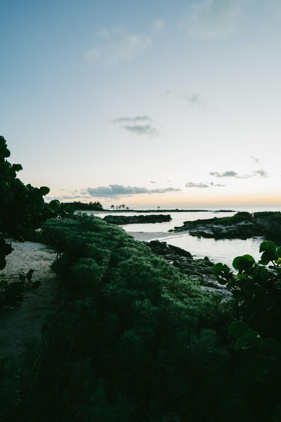 Free Image of Body of Water Surrounded by Grass and Trees 