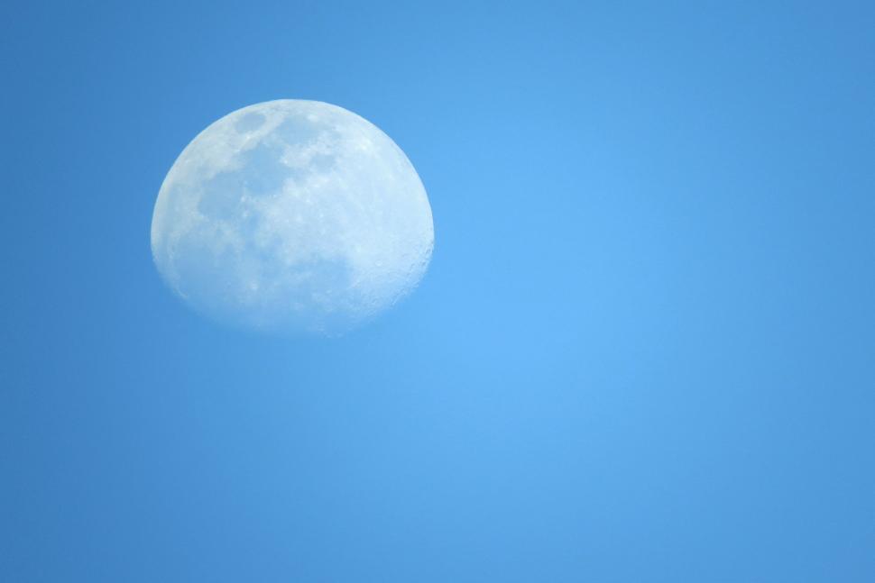 Free Image of Plane in Flight Against Night Sky With Moon 