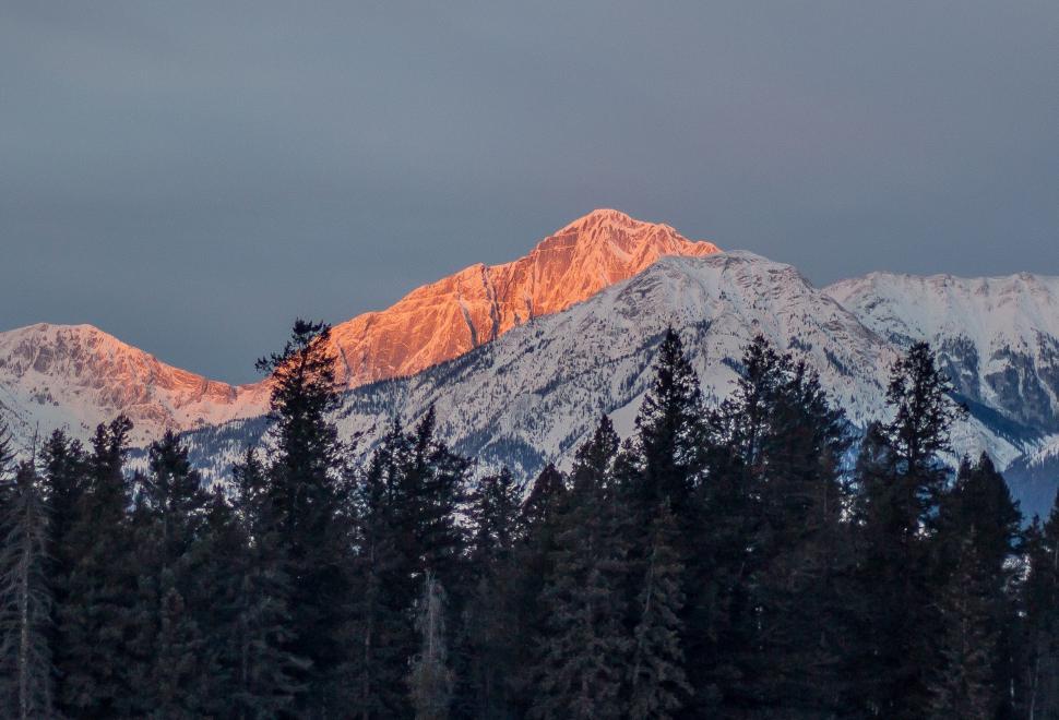 Free Image of Snow Covered Mountain With Foreground Trees 