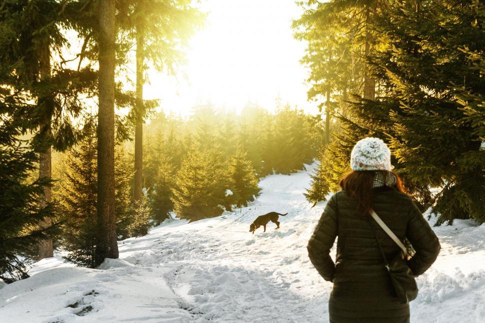 Free Image of Person Walking in Snow With Dog in Background 