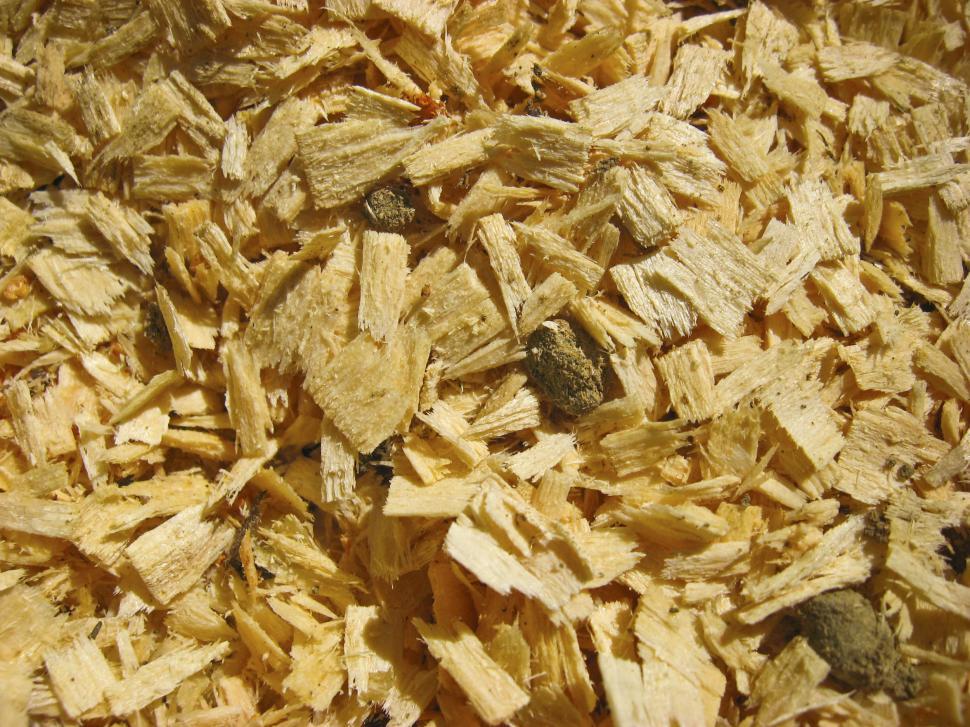 Free Image of wooden texture 