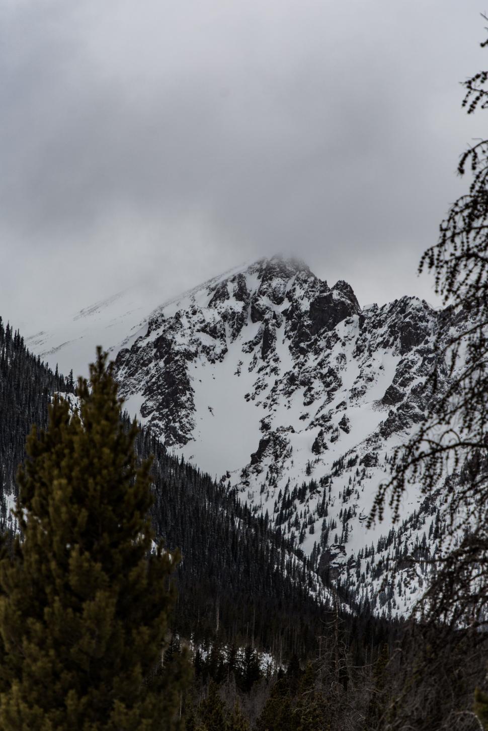 Free Image of Snow Covered Mountain With Trees 