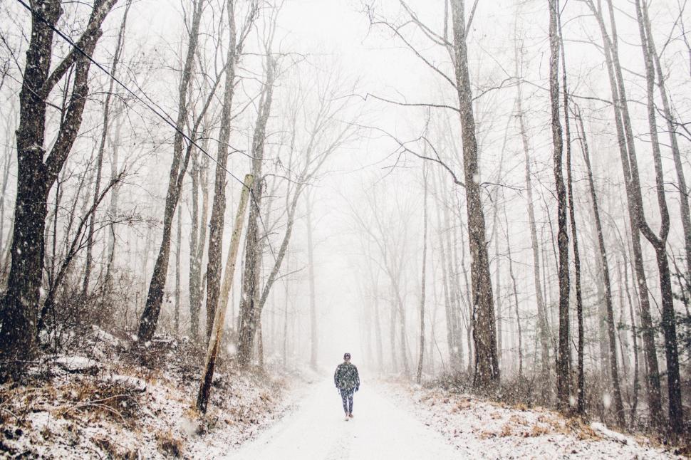 Free Image of Person Walking Down a Snow Covered Road 