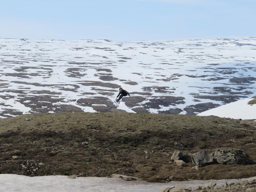 Free Image of Bird Perched on Snowy Hill 