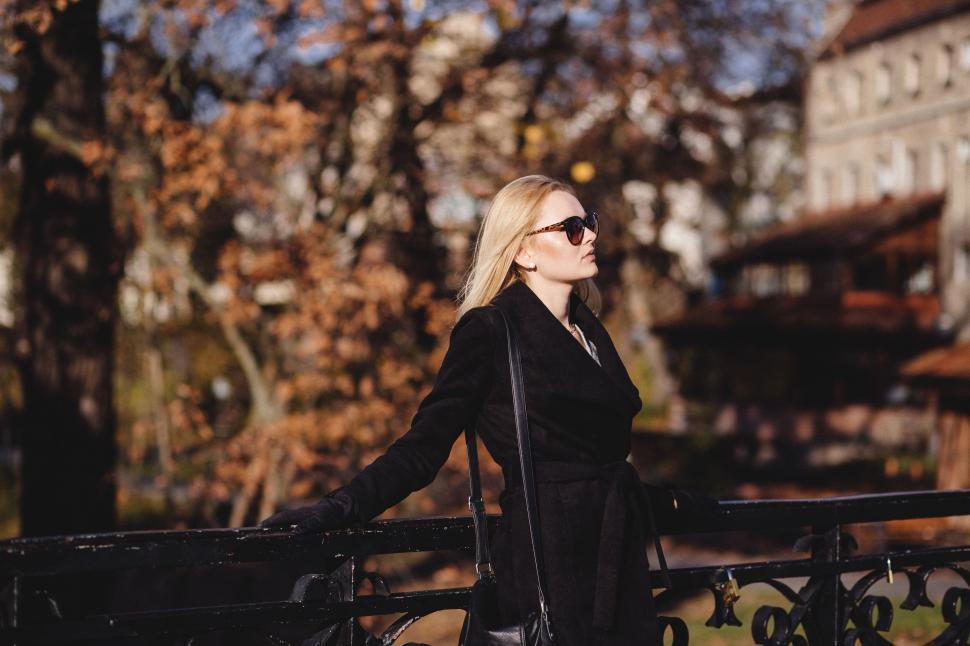 Free Image of Woman in Black Dress Standing on Bridge 