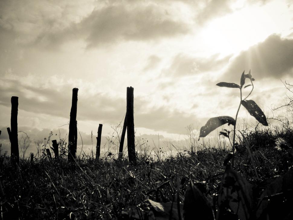 Free Image of countryside fence 
