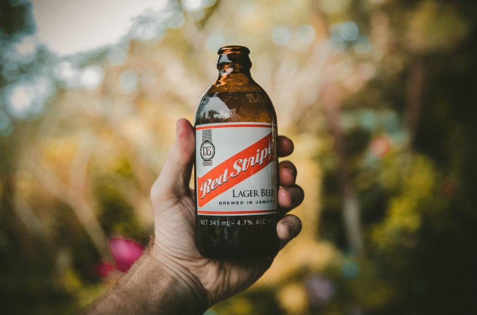 Free Image of Person Holding Beer Bottle 