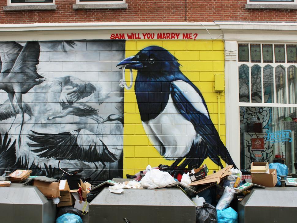 Free Image of Colorful Bird Mural on Building Facade 