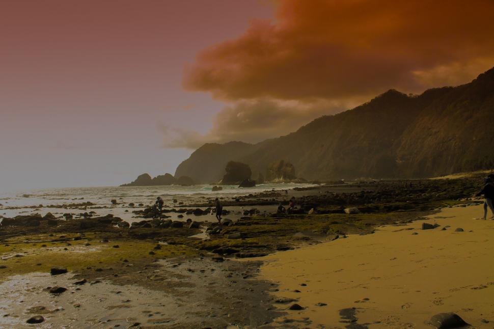 Free Image of Man Riding Horse Down Beach Next to Ocean 