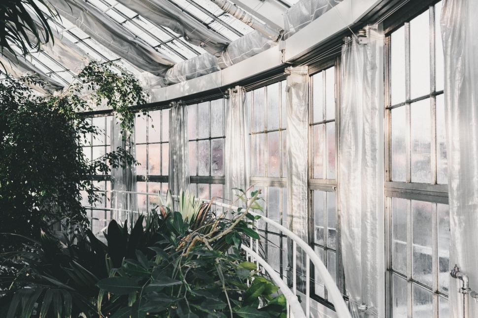 Free Image of Greenhouse in Black and White 