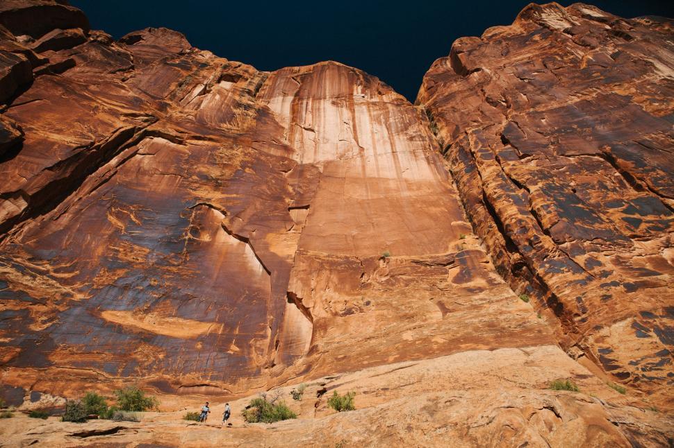 Free Image of Tree Growing Out of Large Rock Formation 