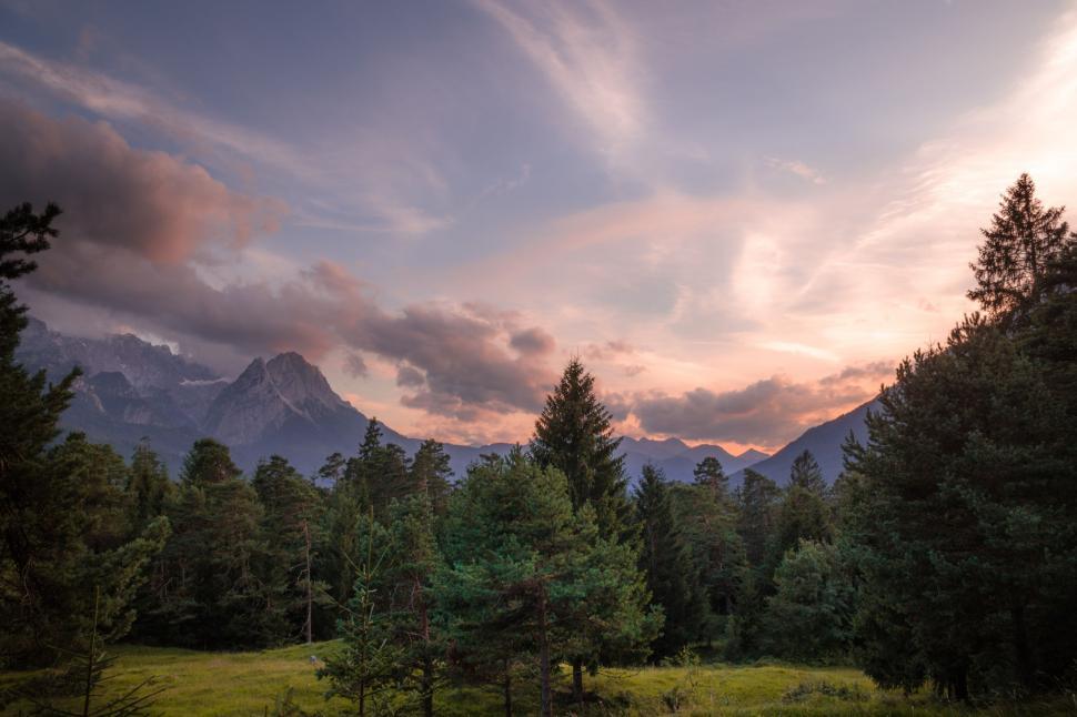 Free Image of Grassy Field With Trees and Mountains 