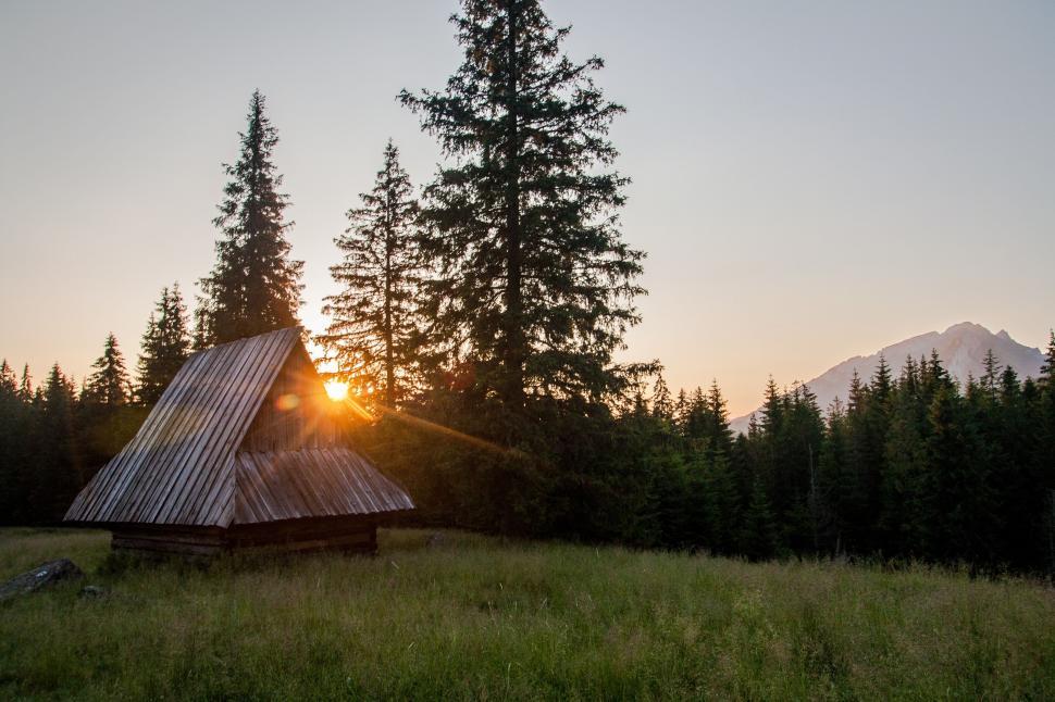 Free Image of Wooden Structure in Field With Trees 