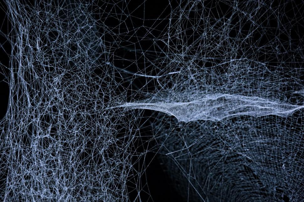 Free Image of Intricate Spider Web in Black and White 