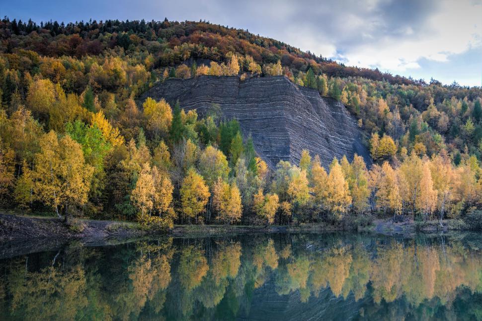Free Image of Water Body Surrounded by Forest 