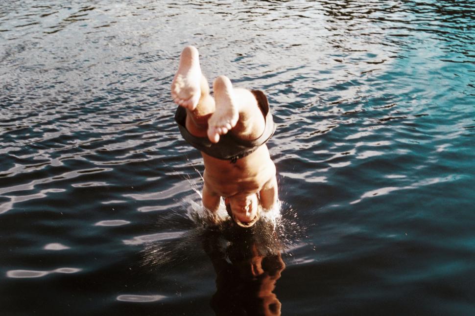 Free Image of Dog Standing in Body of Water 