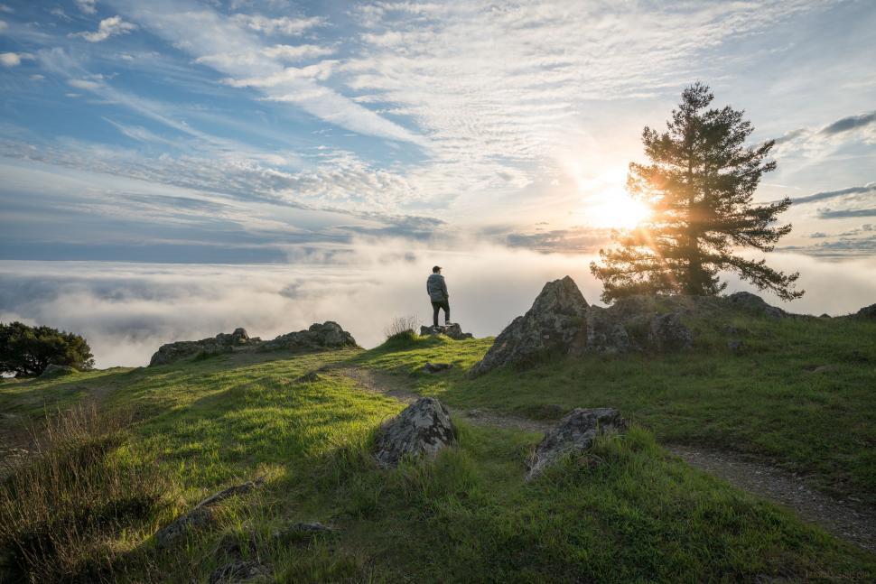 Free Image of Man Standing on Top of Lush Green Hillside 