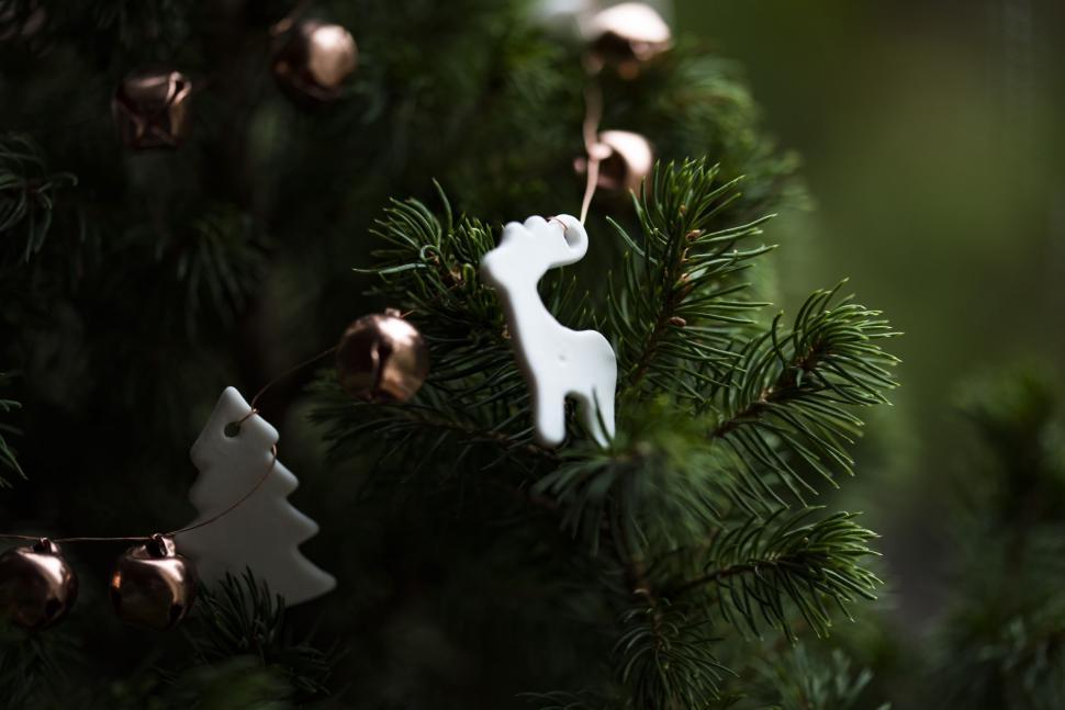 Free Image of Close Up of a Christmas Tree With Ornaments 