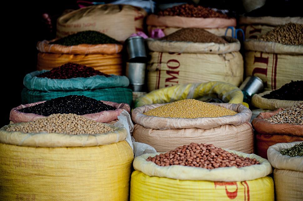 Free Image of Assorted Bags Filled With Various Types of Food 