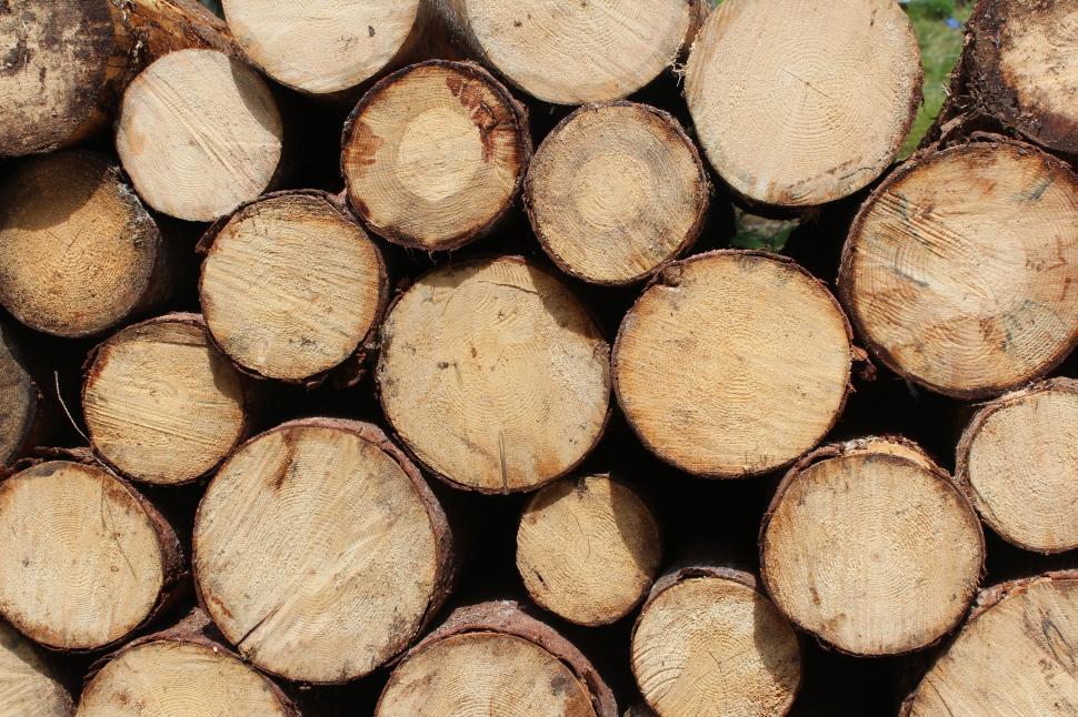 Free Image of Stack of Cut Logs 