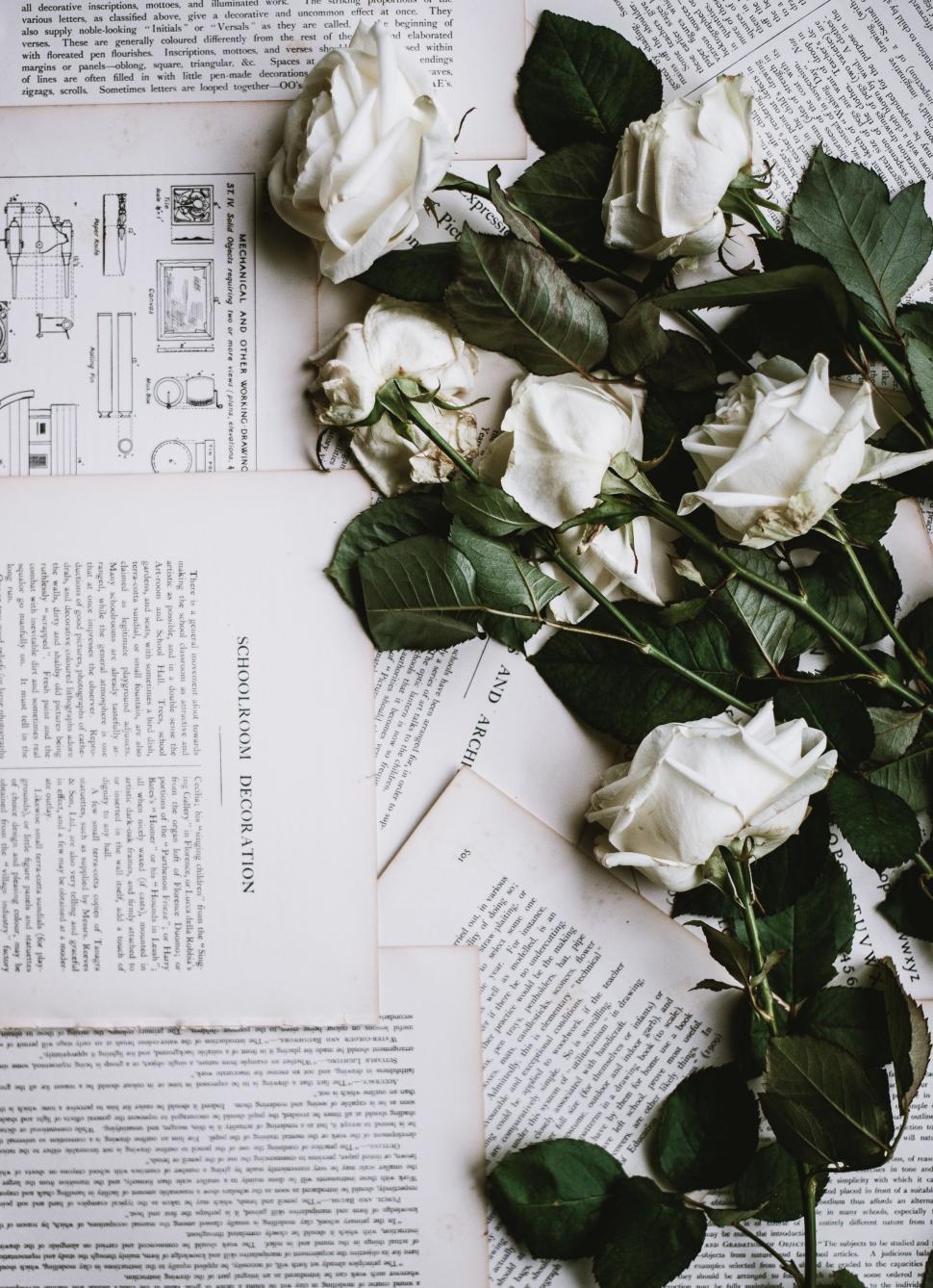 Free Image of Roses on Newspaper 