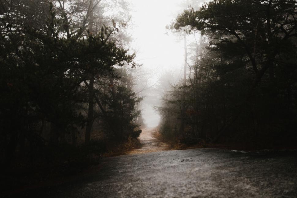 Free Image of Black and White Photo of a Dirt Road 