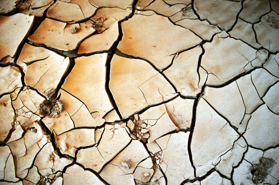 Free Image of Cracked mud 