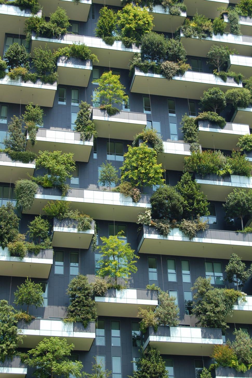 Free Image of Tall Building Covered With Trees 