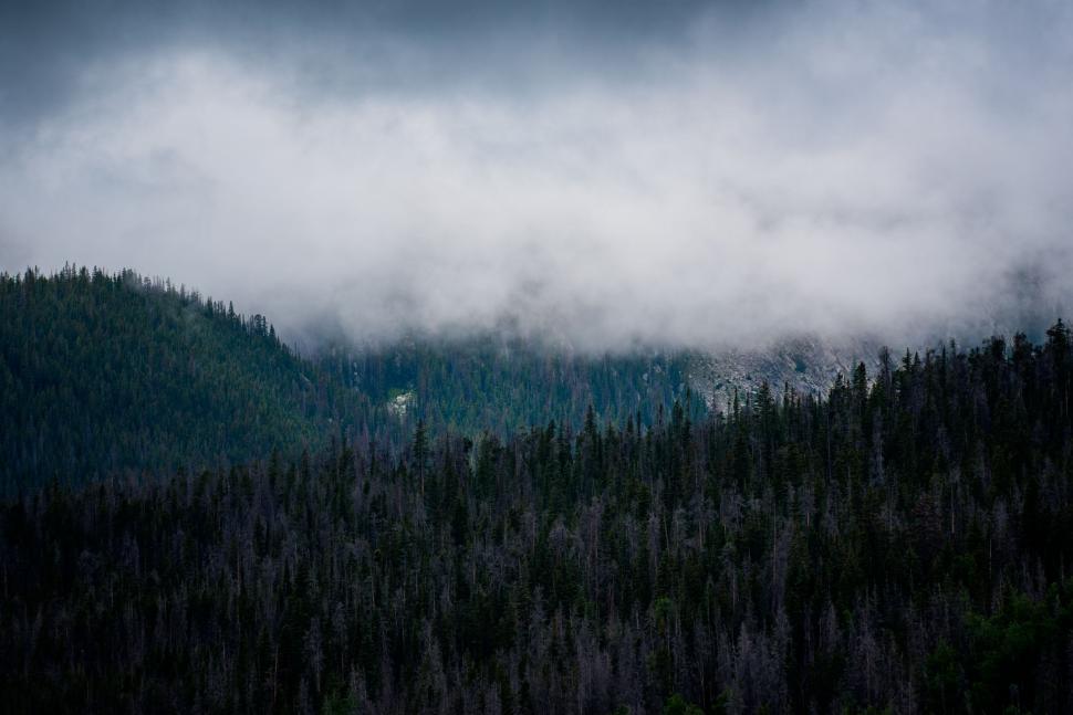 Free Image of Mountain Covered in Trees Under Cloudy Sky 