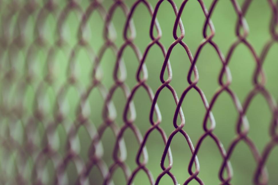 Free Image of Close Up of Chain Link Fence 