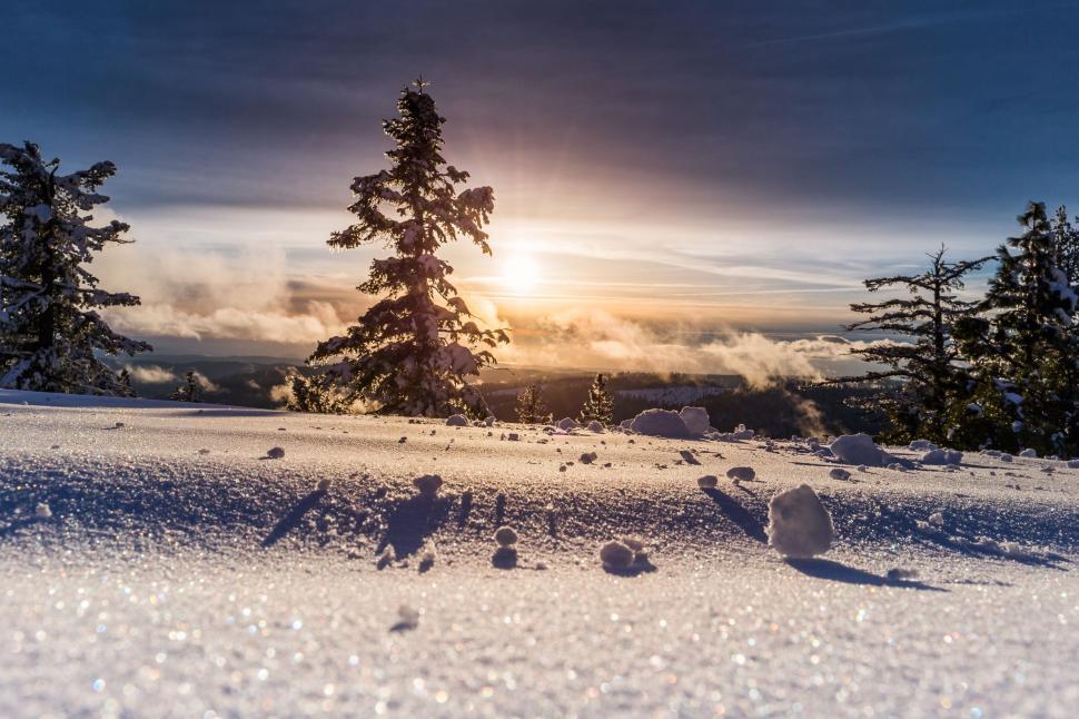 Free Image of Snow Covered Field With Trees in Background 