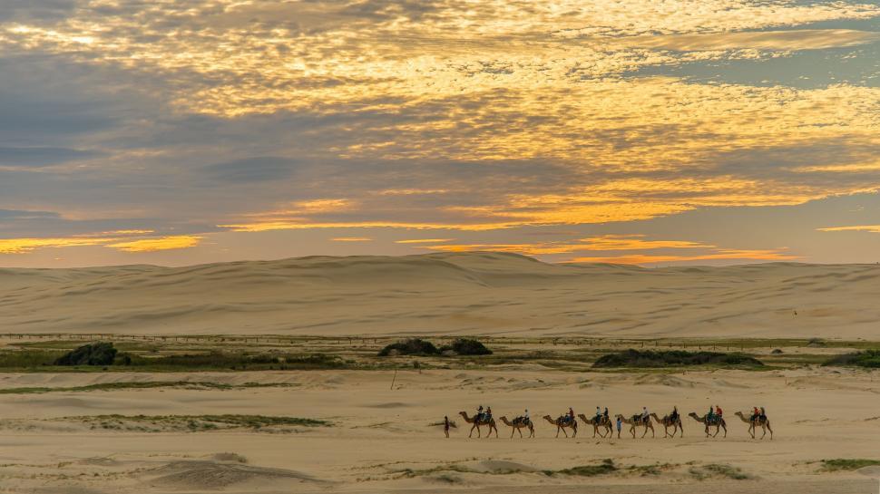 Free Image of Group of People Riding Horses Across a Desert 