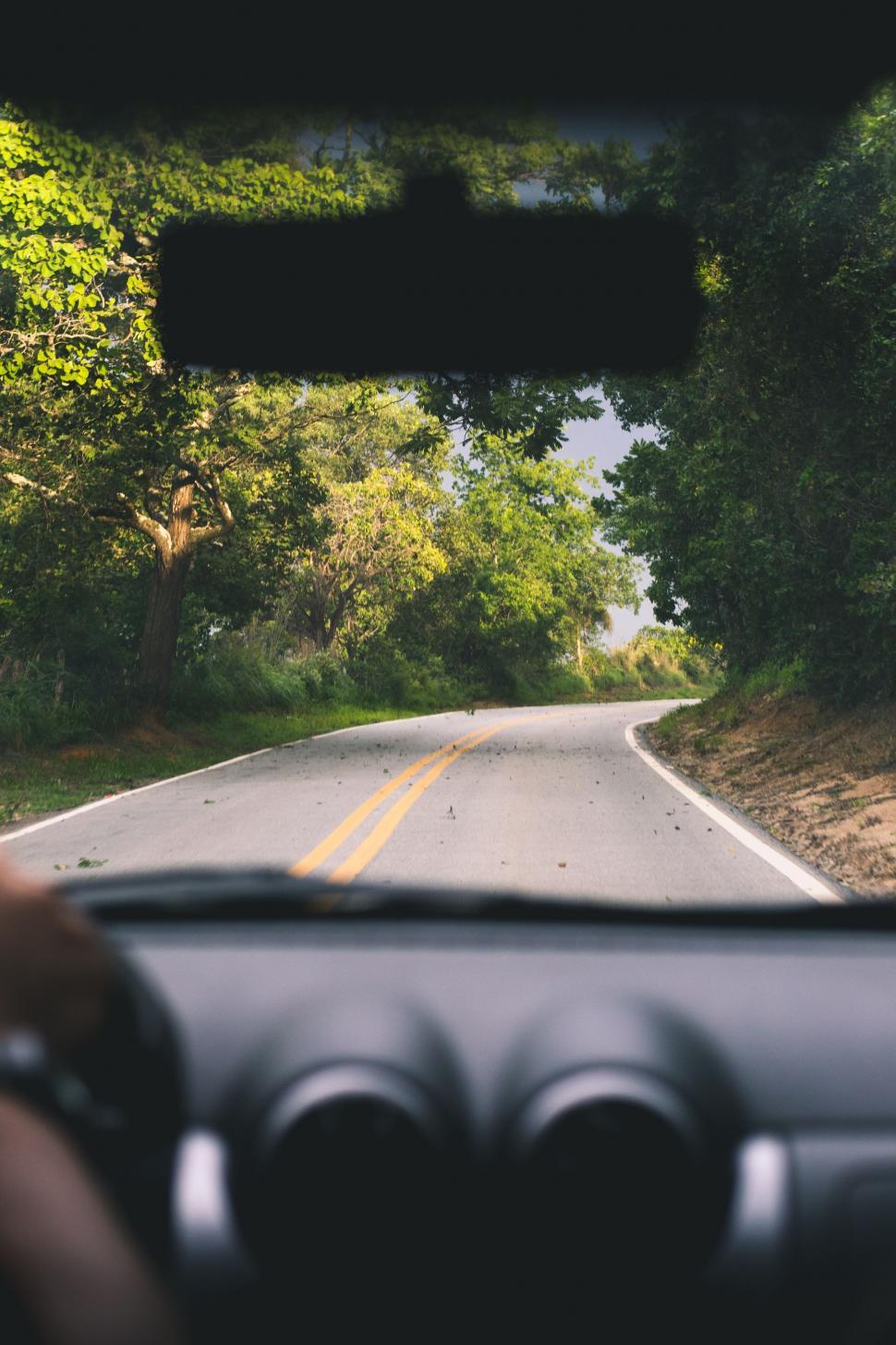 Free Image of Person Driving Car Along Forest Road 