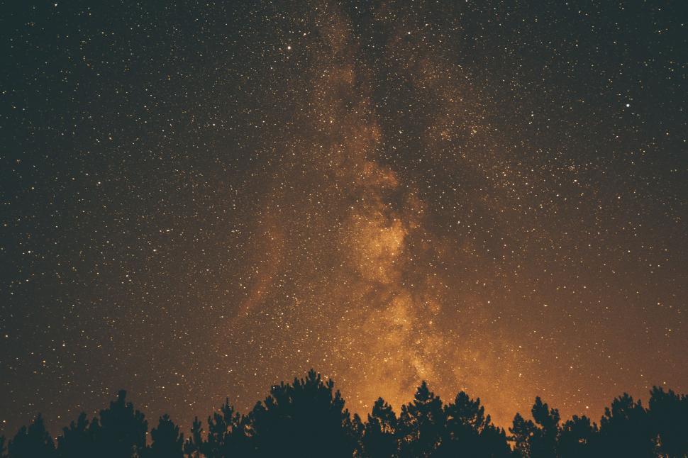 Free Image of Starry Night Sky Over Forest Trees 